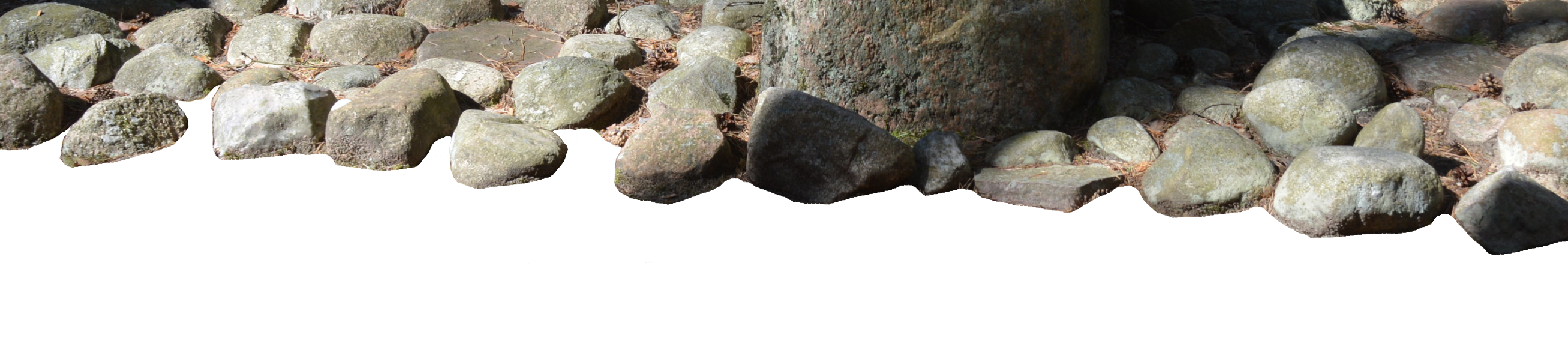 Header Image